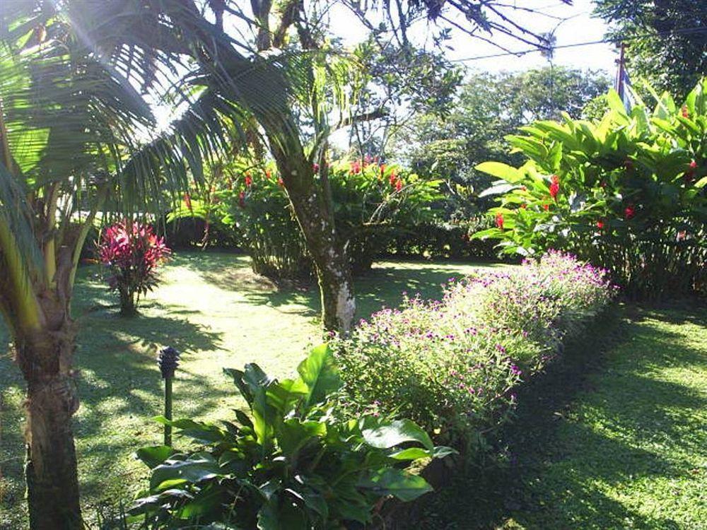 Hotel Befox Adventure à La Fortuna Extérieur photo