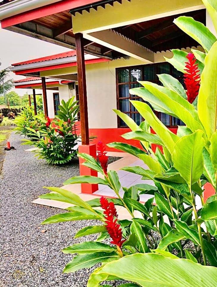 Hotel Befox Adventure à La Fortuna Extérieur photo