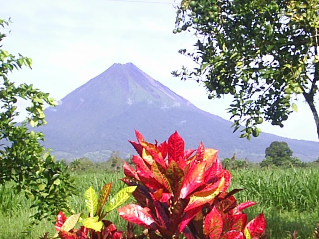 Hotel Befox Adventure à La Fortuna Extérieur photo
