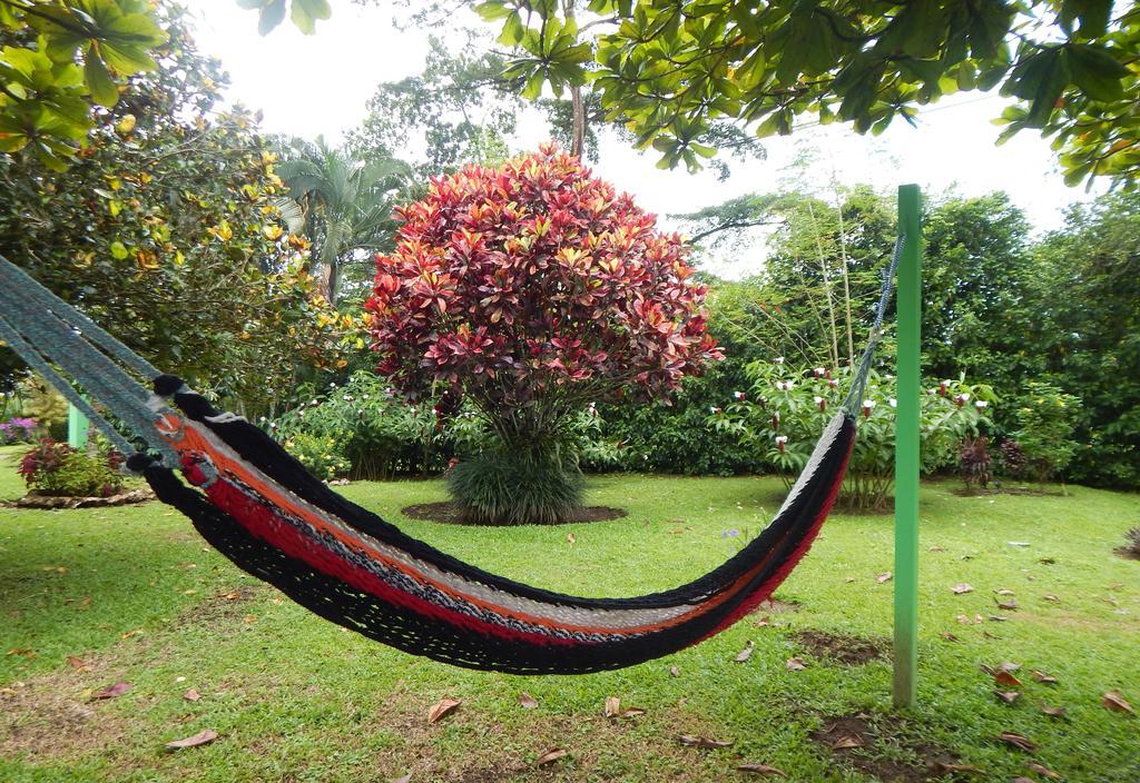 Hotel Befox Adventure à La Fortuna Extérieur photo